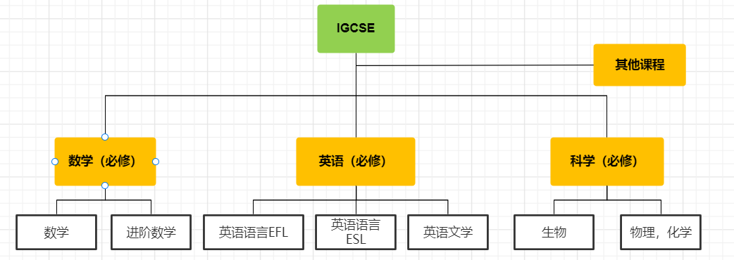 IGCSE 1.png